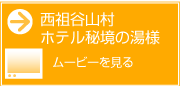 西祖谷山村　ホテル秘境の湯様　ムービーを見る